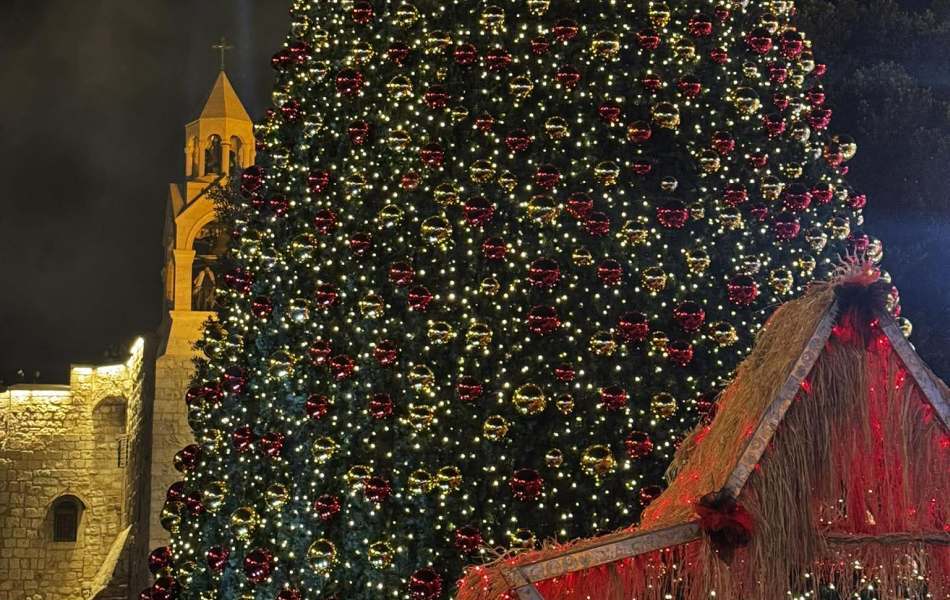 L’albero di Betlemme L’albero di Betlemme