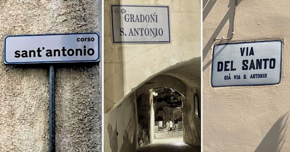 1350 volte sant’Antonio