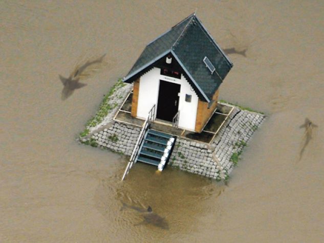 casa attorniata dagli squali