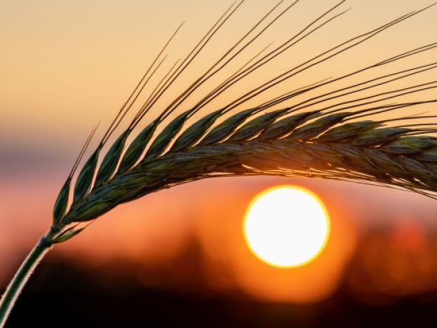 Stare nello sguardo di Dio