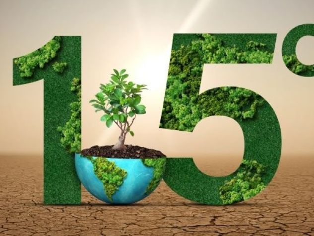 Troppe bugie sulla rivoluzione verde