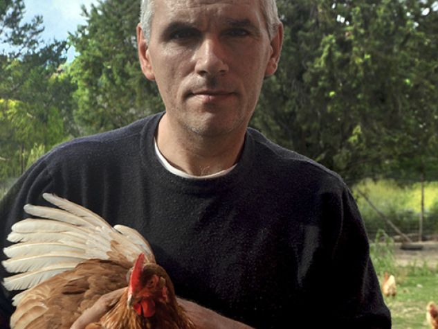 Allevamento di galline alla Fattoria sociale Villa Mancini nel beneventano