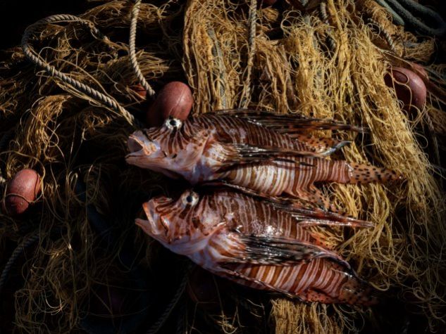 Mostra Hotspot Mediterraneo a Palermo