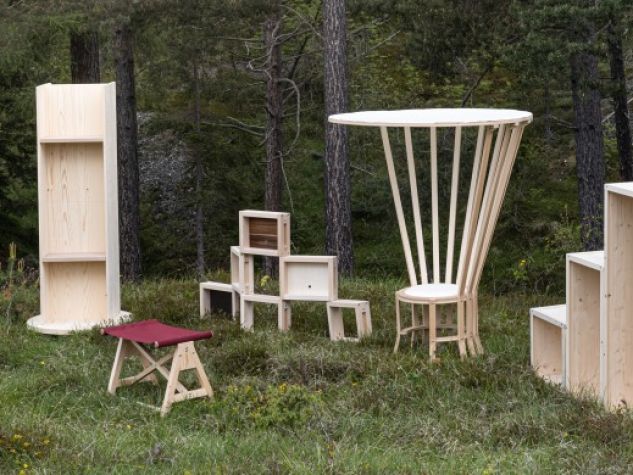 IncasTree e il legno bostricato