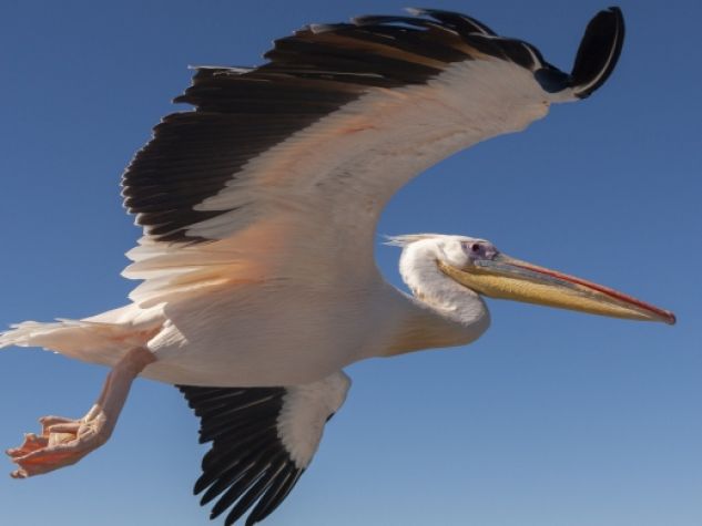 In volo, con Cristo