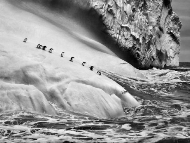 Salgado nel regno dei ghiacci