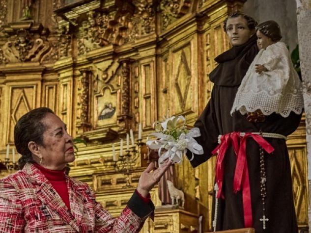Le lucertole… del Santo