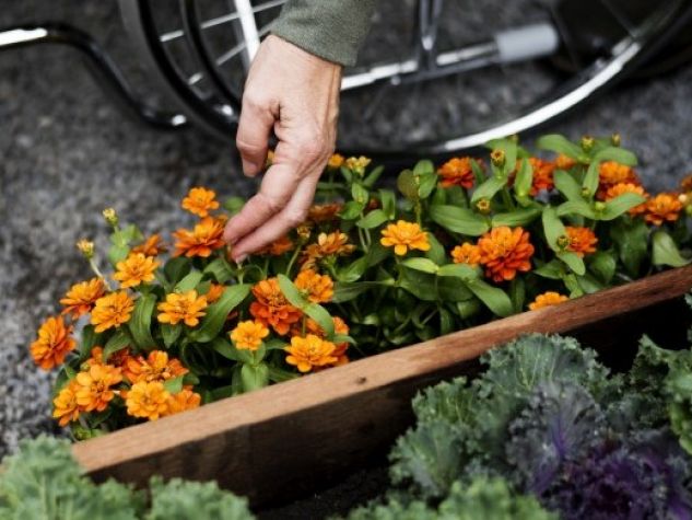 La strategia dell’elenco