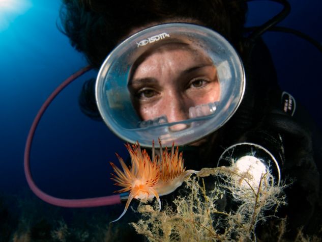 Una sub osserva un pesce coloratissimo e dalle forme inusuali.