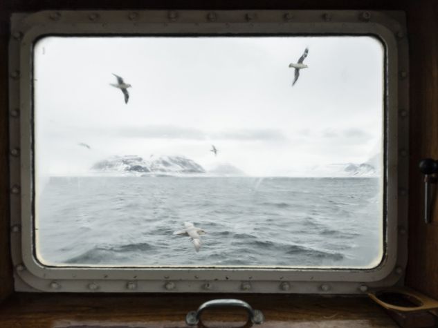 Finestra sull'Artico