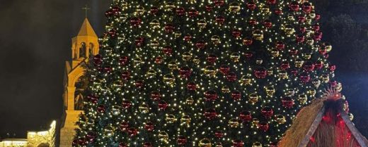 L’albero di Betlemme