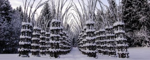la cattedrale vegerale modellata dalla neve
