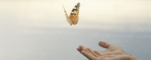 Per una cultura del rispetto
