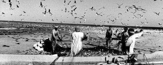 Al Had, dove volano i gabbiani 