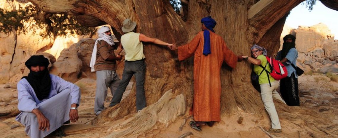 I cipressi del Sahara