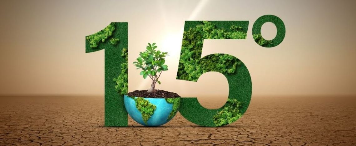 Troppe bugie sulla rivoluzione verde