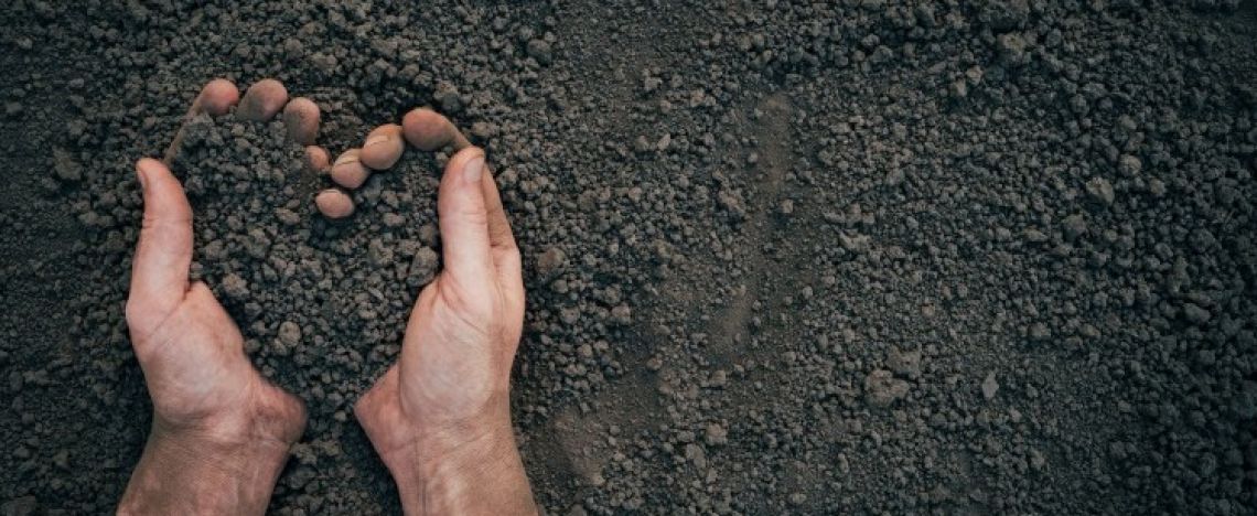 I miti erediteranno la terra