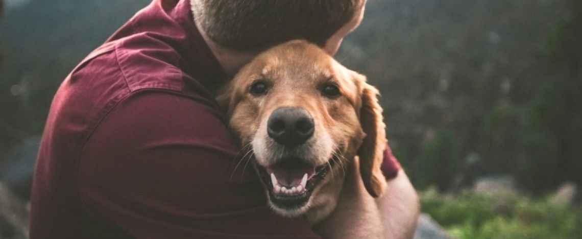 Gli animali vanno in Paradiso?
