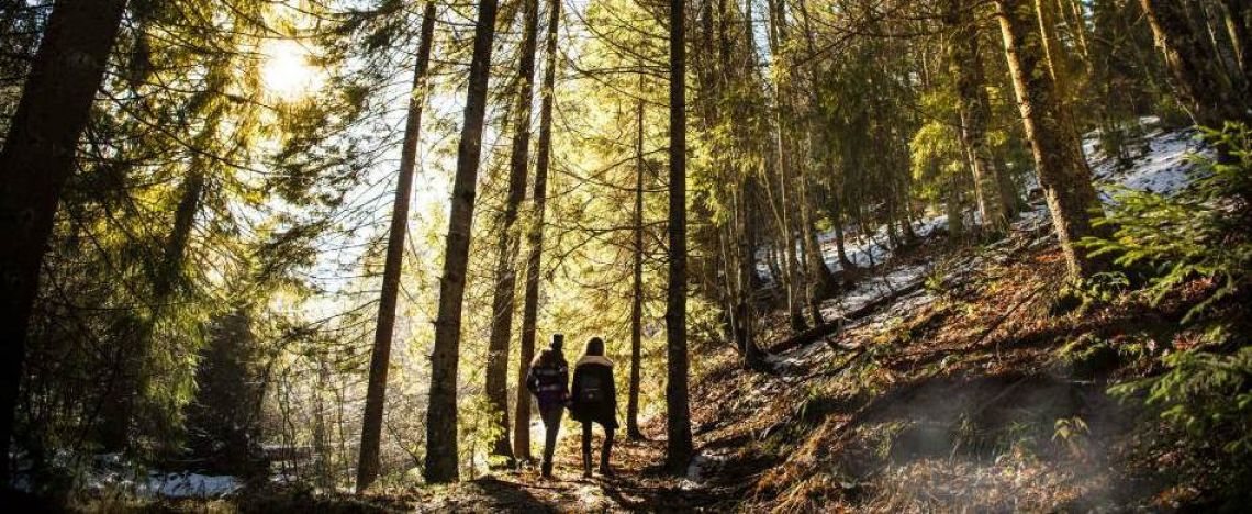 La montagna d'inverno