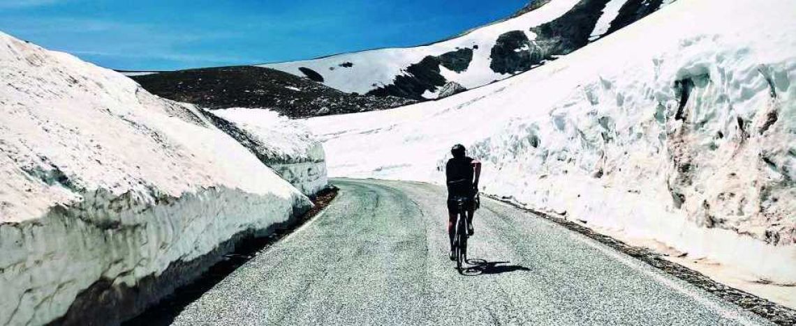 Una compagna di viaggio