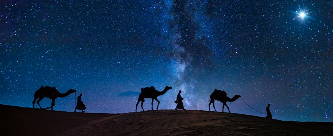 Nati per ricominciare