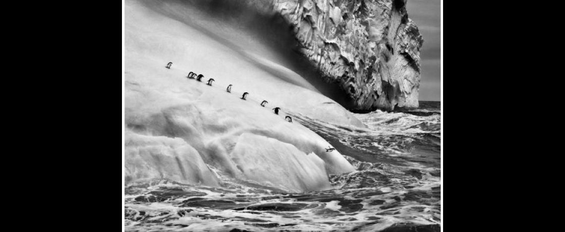 Salgado nel regno dei ghiacci