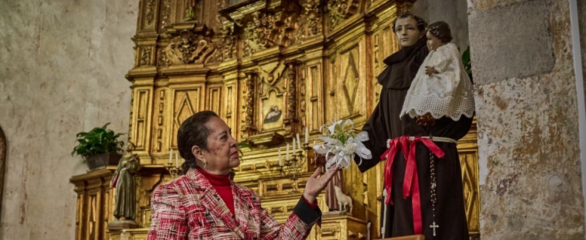 Le lucertole… del Santo