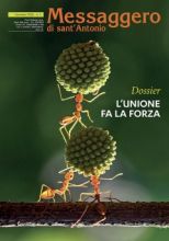 Copertina Messaggero di sant'Antonio gennaio 2026
