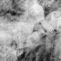 Caravaggio ai raggi x - La radiografia de ”La Buona Ventura” ha evidenziato la presenza della Madonna in preghiera, disposta lungo l’asse orizzontale, e dipinta in precedenza da Caravaggio.
