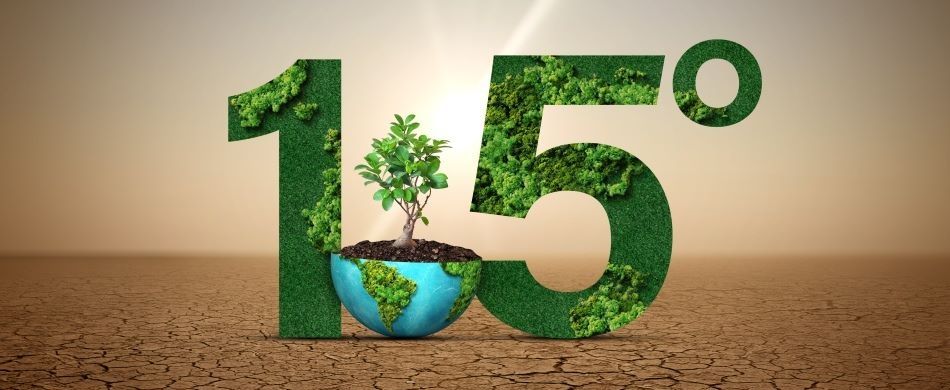 Troppe bugie sulla rivolu