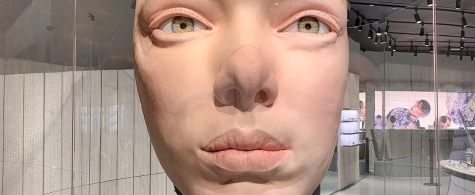 Custodire voci e volti um