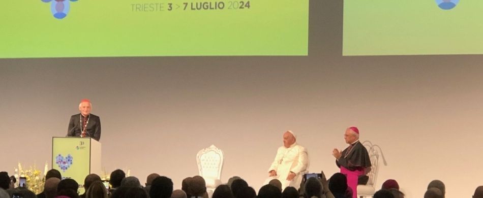 Papa Francesco incontra i
