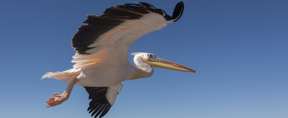 In volo, con Cristo-1