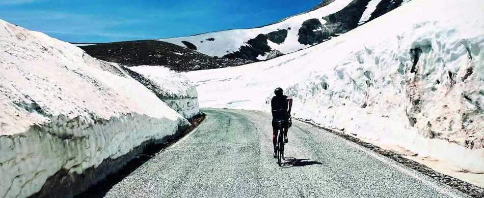 Una compagna di viaggio-1
