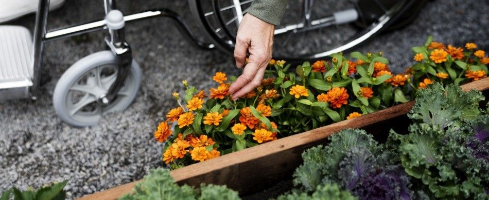 La strategia dell’elenc