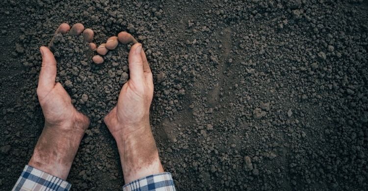 I miti erediteranno la terra