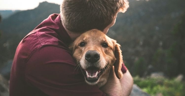 Gli animali vanno in Paradiso?