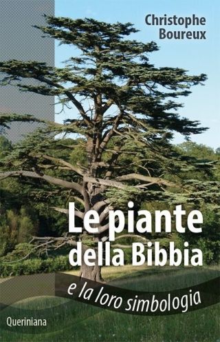 Le piante della Bibbia e la loro simbologia